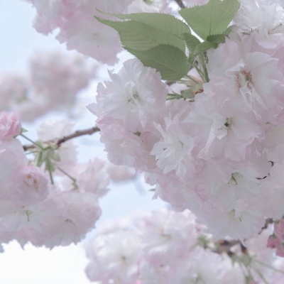 菏泽FurryQQ群